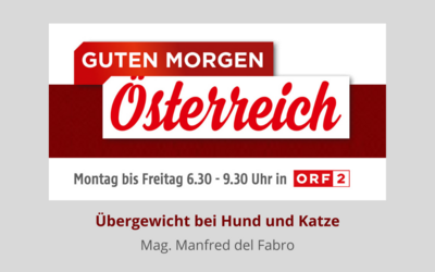 Übergewicht bei Hund und Katze
