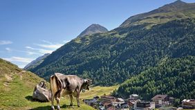 iStock