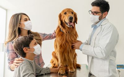 Webinar Mentale Gesundheit