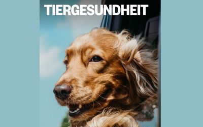 Kampagne Tiergesundheit / Mediaplanet / April 2022