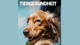 Kampagne Tiergesundheit / Mediaplanet / April 2022