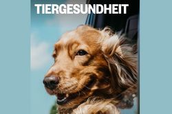 Kampagne Tiergesundheit / Mediaplanet / April 2022