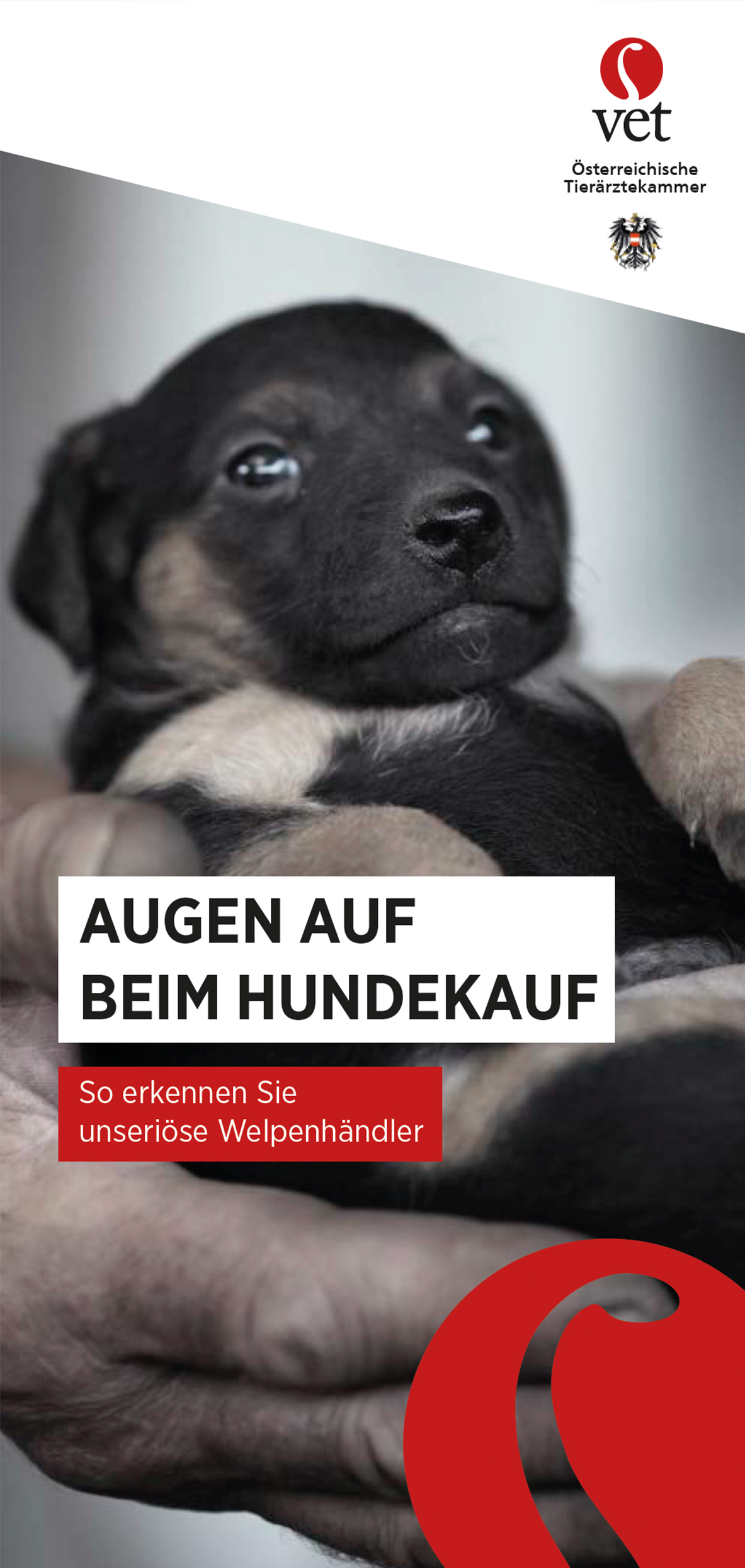 Folder Augen auf beim Hundekauf