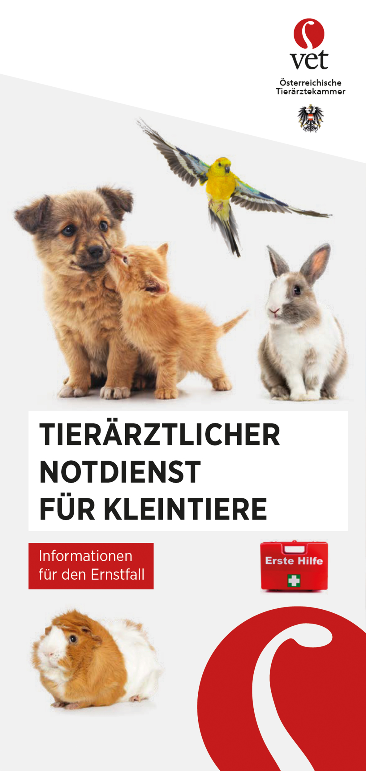 Folder tierärztlicher Notdienst für Kleintiere