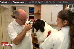 Daheim in Österreich, ORF
