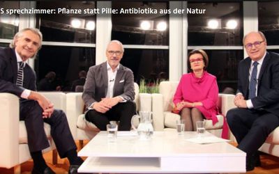 tvthek ORF