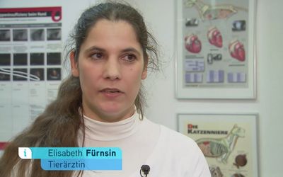 Mag. Elisabeth Fürnsin
