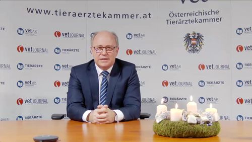 Weihnachtsbotschaft Mag. Frühwirth