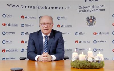 Weihnachtsbotschaft Mag. Frühwirth
