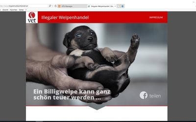 Keine Chance dem illegalen Welpenhandel