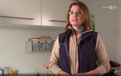 Dr. Andrea Wüstenhagen