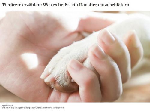 © Bild: Getty Images/iStockphoto/OlenaKlymenok/iStockphoto