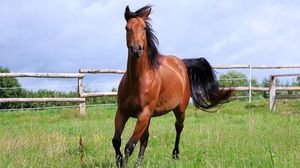Bild: iStockphoto LP