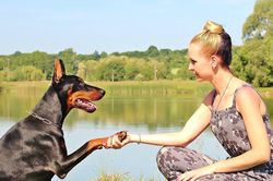 Hundewissen schützt vor Bissen