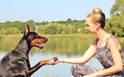 Hundewissen schützt vor Bissen