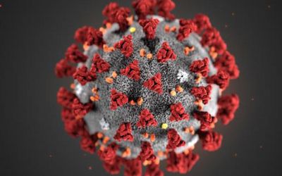Corona-Virus