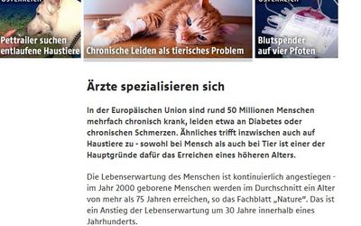 Screenshot ORF.at