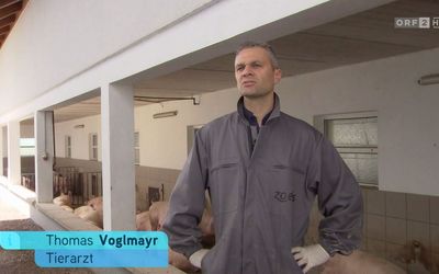 Thomas Voglmayr