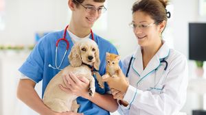 Bild: iStockphoto LP