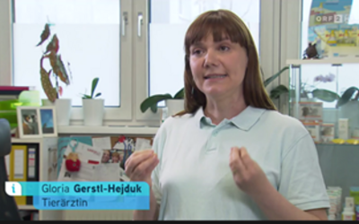 Vizepräsidentin Dr. Gloria Gerstl-Hejduk