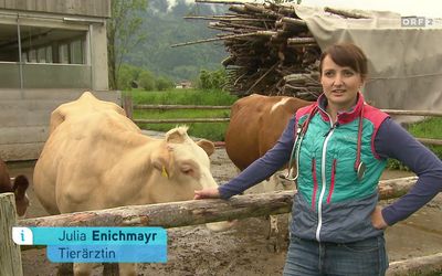 Mag. Julia Enichlmayr
