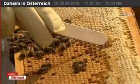 ORF, Daheim in Österreich, Di., 28.8.2018