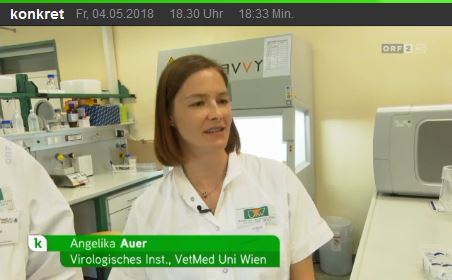 Auszug aus ORF-Beitrag/Hundestaupe